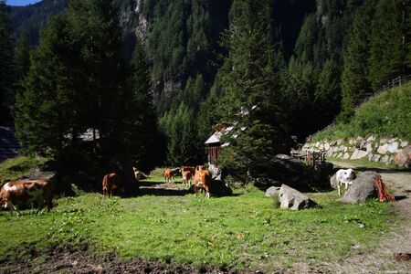 Hinteralmhütten lessachtal 33933 2016-08-25.jpg
