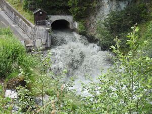 Räumung Speichersee Hollersbach6.JPG