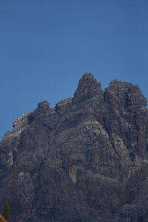 Faulkogel-0293-2021-09-14.jpg