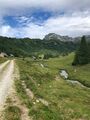 Lantschfeldalm-13-2022-07-14.jpg