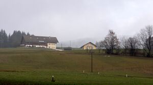 Scheierl.jpg