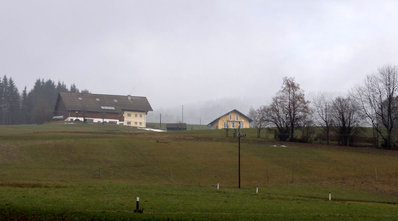 Datei:Scheierl.jpg