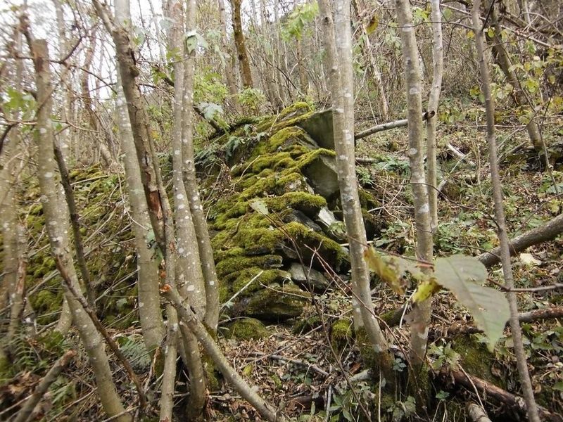 Datei:Steinmauer Baracken.jpg