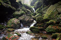 Tiefsteinklamm 02.jpg