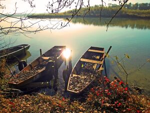 Boote Braunau.jpg