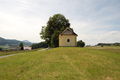 DSC 0059.JPG