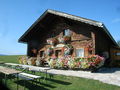 Genner, Leitn-Alm 021.jpg