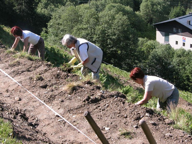 Datei:Schrabach Böschungsarbeiten.jpg
