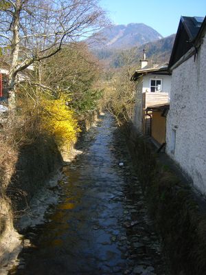 Alterbach in Gnigl unterhalb der Freyhammermühle.jpg