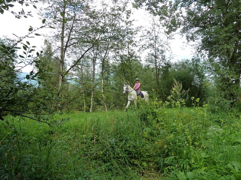 Datei:Am Salzachufer.jpg