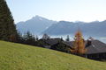 Mondseeblick v. Rauchenschwandt.jpg