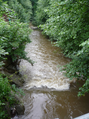 Wallerbach 002.jpg