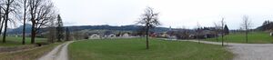 Dechanthofwegpano 31.3.2011.JPG