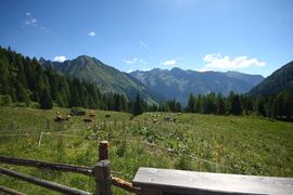 Wirpitschalm 29841 2016-07-10.jpg