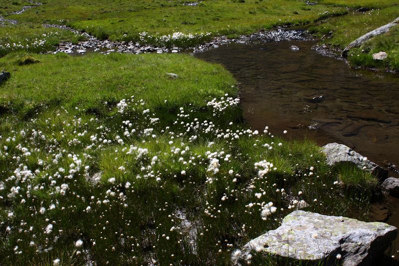 Datei:Lindlsee lessachtal 32995 2016-08-25.jpg