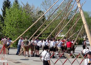 Maibaumaufstellen am 1. Mai 2012.jpg