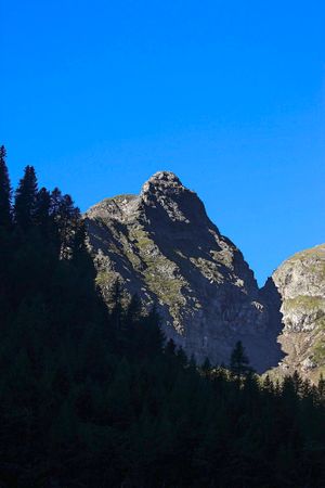 Steinkarlegg gralatikar 34125 2016-08-25.jpg
