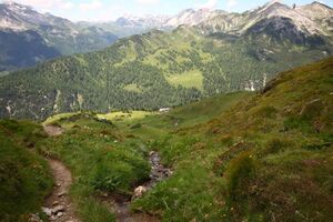 Twengeralm 29770 2016-07-10.jpg