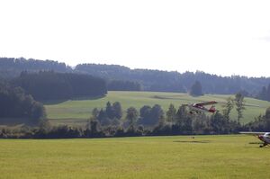 Flugfeld u. bürstling 044.jpg