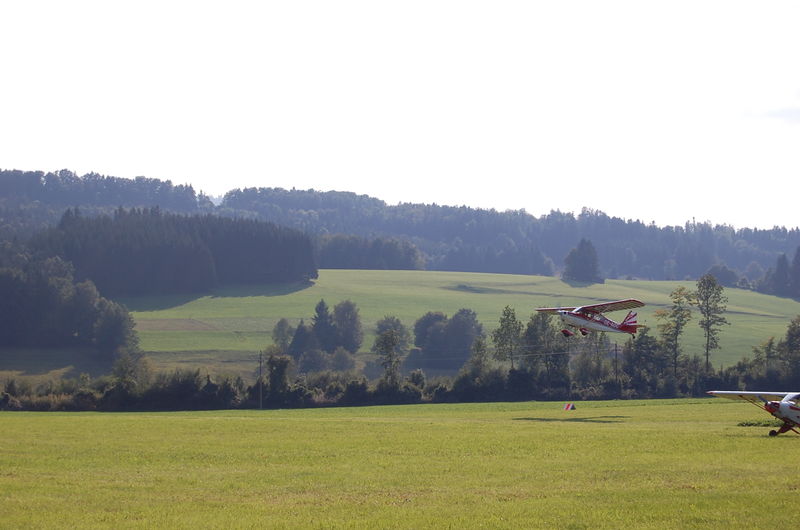 Datei:Flugfeld u. bürstling 044.jpg