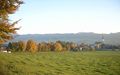 Herbstsimmung braeukellerallee 024 m.jpg