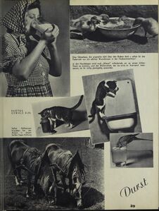 Salzburg im Sommer 1938 Die Bühne 41.jpg