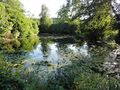 Weiher in Marzoll.jpg