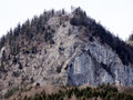 Klettergarten Plombergstein.jpg