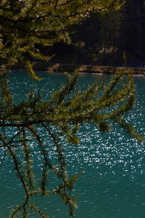 Schlierersee-0265-2021-09-14.jpg