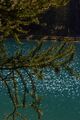 Schlierersee-0265-2021-09-14.jpg