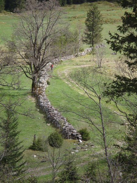 Datei:Steinhag Käfertal.jpg