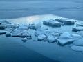 Zeller See im Winter 12.jpg