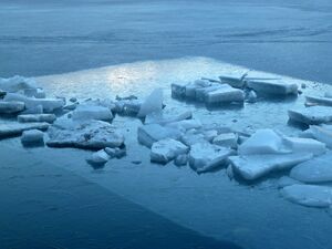 Zeller See im Winter 12.jpg