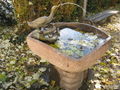 Entenbrunnen Schanzlpark.jpg