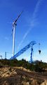 Errichtung Windpark Munderfing.jpg