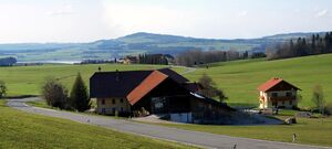 Panoramabild Moosbauer.jpg