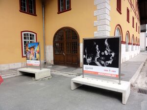 Menschenbilder-Ausstellung auf der Pernerinsel.JPG