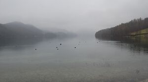 Still ruht der see.jpg