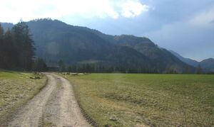 Weg ins Zinkenbachtal 049 m.jpg