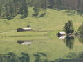 Fischunkelalm.JPG