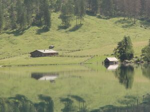 Fischunkelalm.JPG