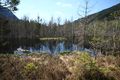 Mandlinger moor 69724 2018-04-18.jpg