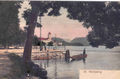 Traunerl Postkarte Seepromenade St. Wolfgang 1880.jpg