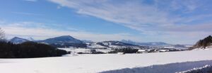 Westpanorama von der Enzersberger Landesstraße aus.jpg