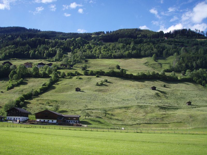 Datei:Bramberg, Hecken.jpg