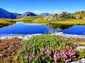 Essersee.jpg