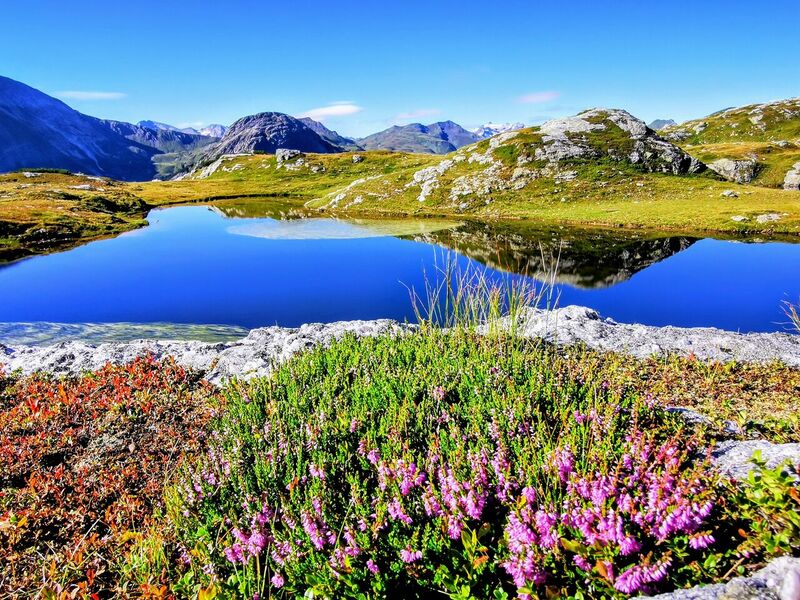 Datei:Essersee.jpg