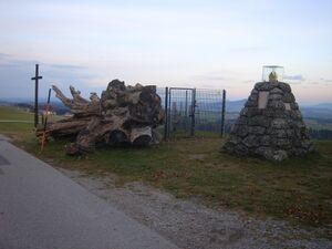 Kaiserbuche Herbst 209 .jpg