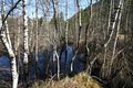 Mandlinger moor 69792 2018-04-18.jpg