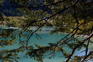 Schlierersee-0239-2021-09-14.jpg